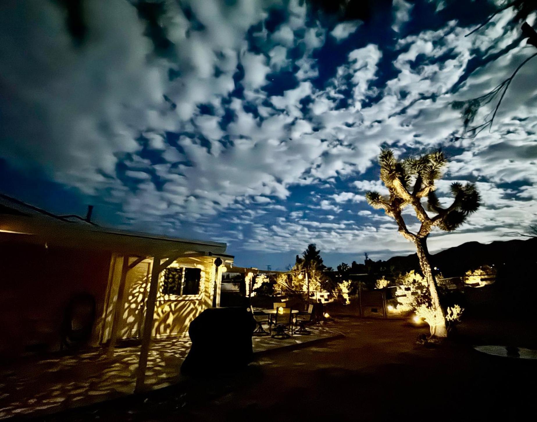 Float Pool, Hot Tub, Sauna, Views, Telescope-Skywatchers Haven Joshua Tree Kültér fotó