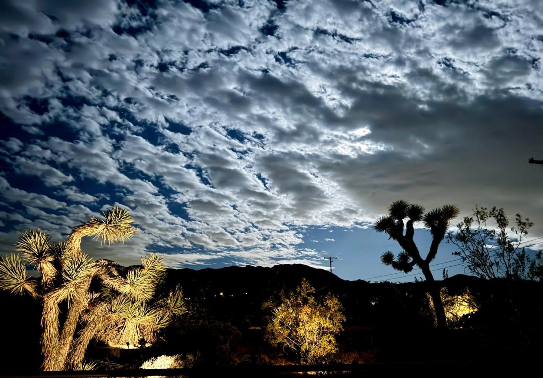 Float Pool, Hot Tub, Sauna, Views, Telescope-Skywatchers Haven Joshua Tree Kültér fotó